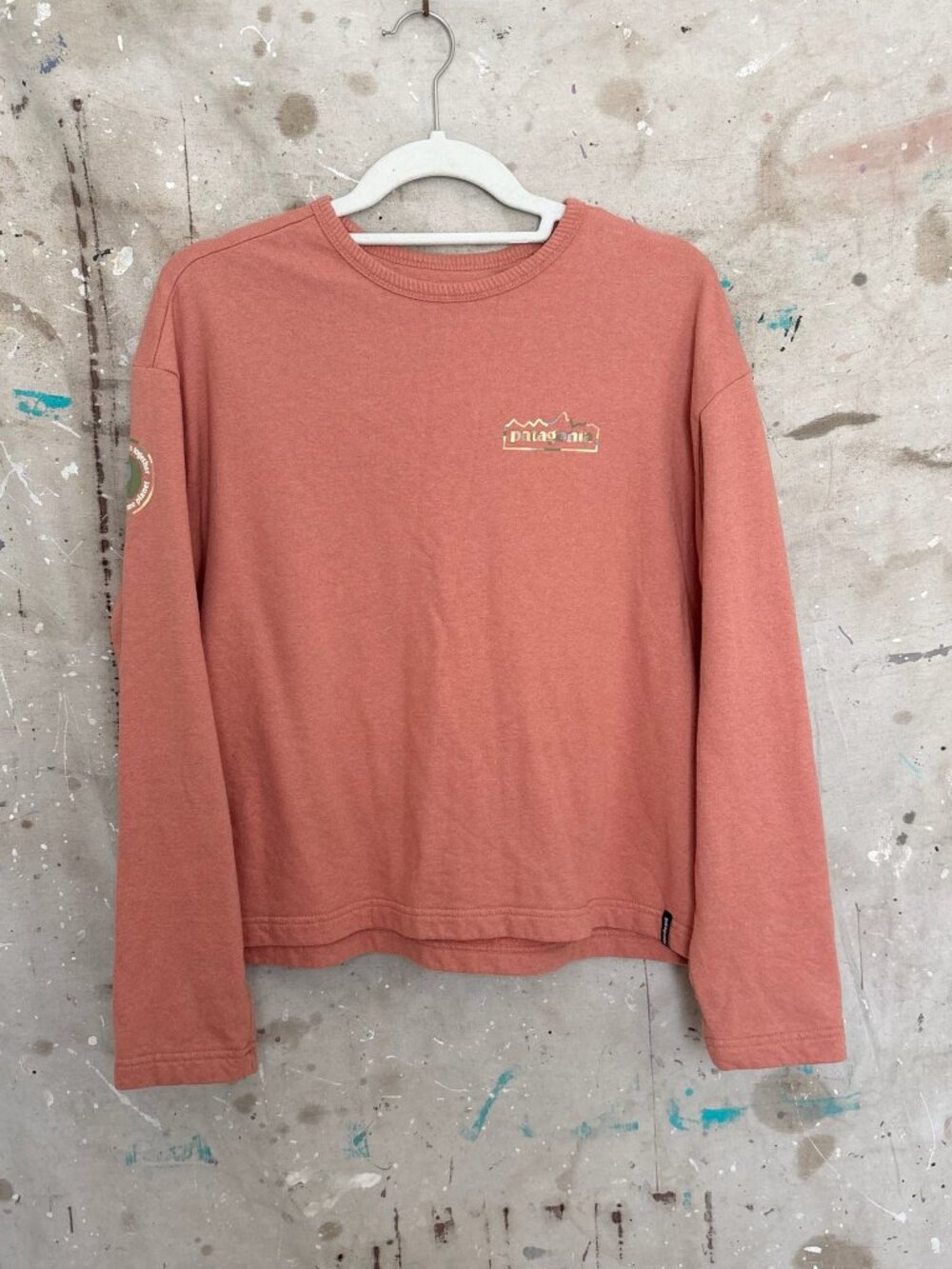 Patagonia Lightweight Unity Fitz Wildrise Crew